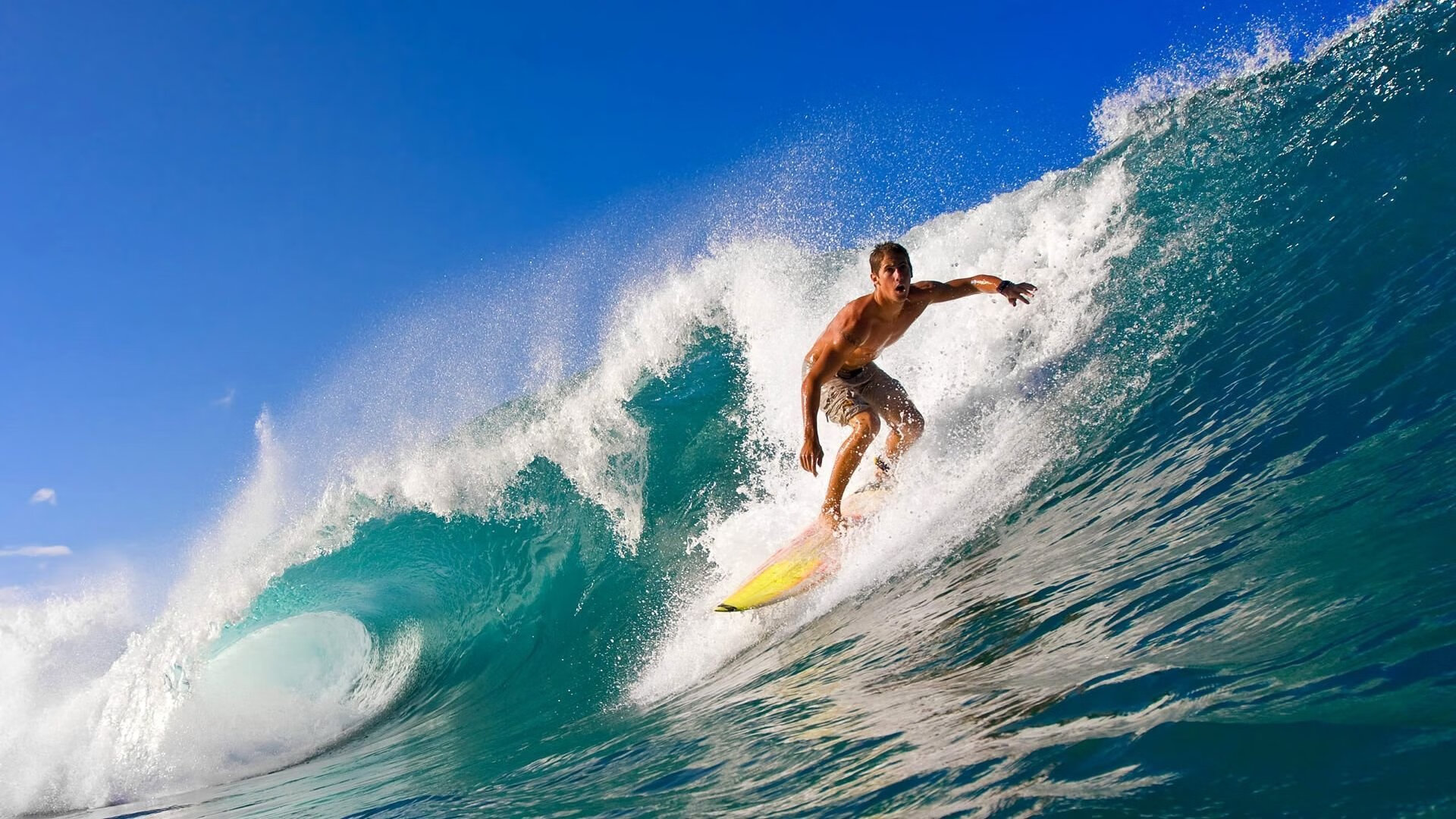 TL发布官方战队纪录片,lol战队纪录片