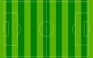 爱游戏体育在线app-国足主场比赛战术布置与得分模型关联,国足阵容战术